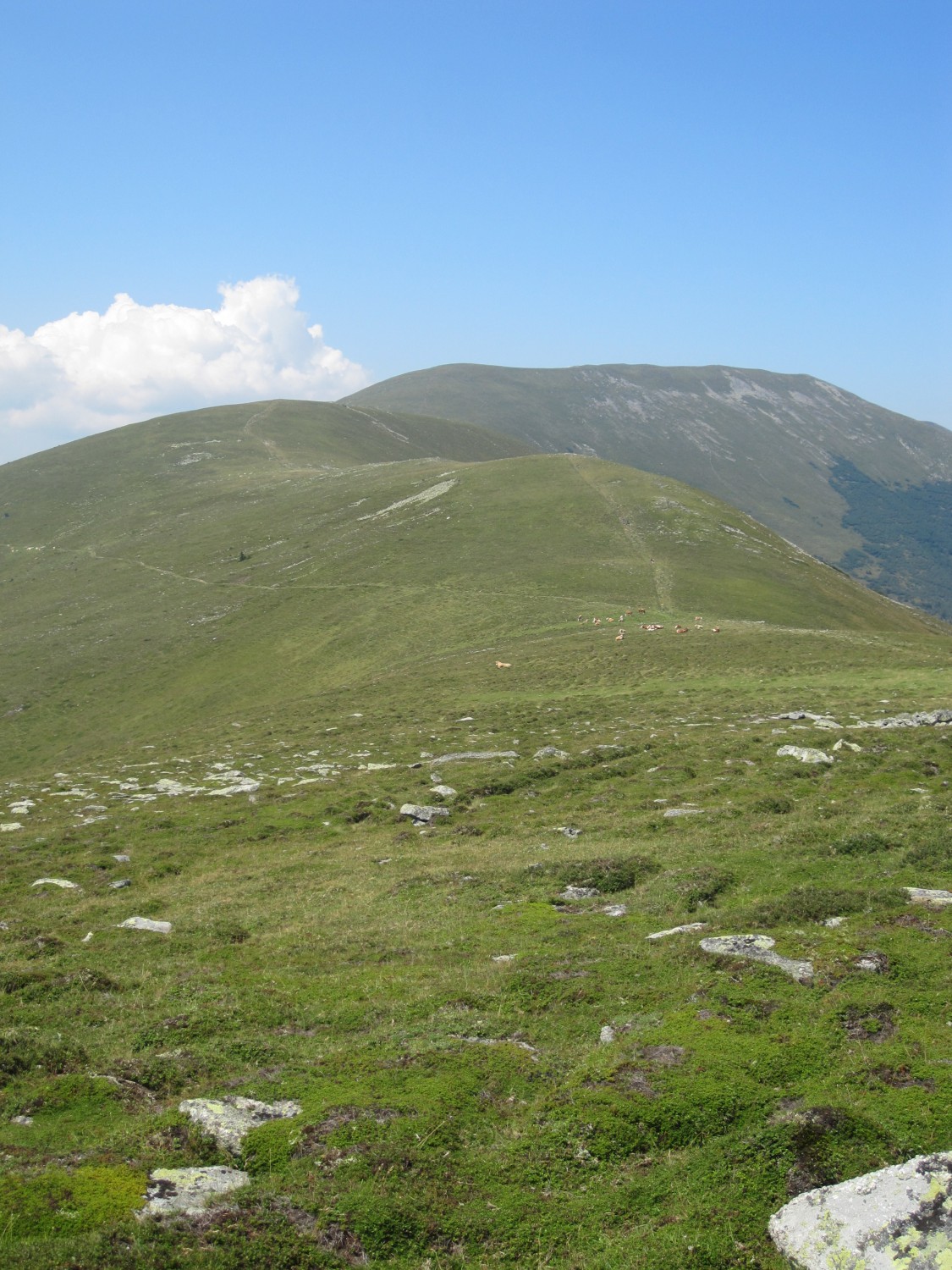 Weißenstein und Amering Kogel