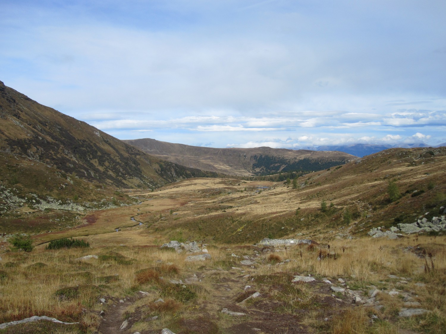 "Schottische" Blicke