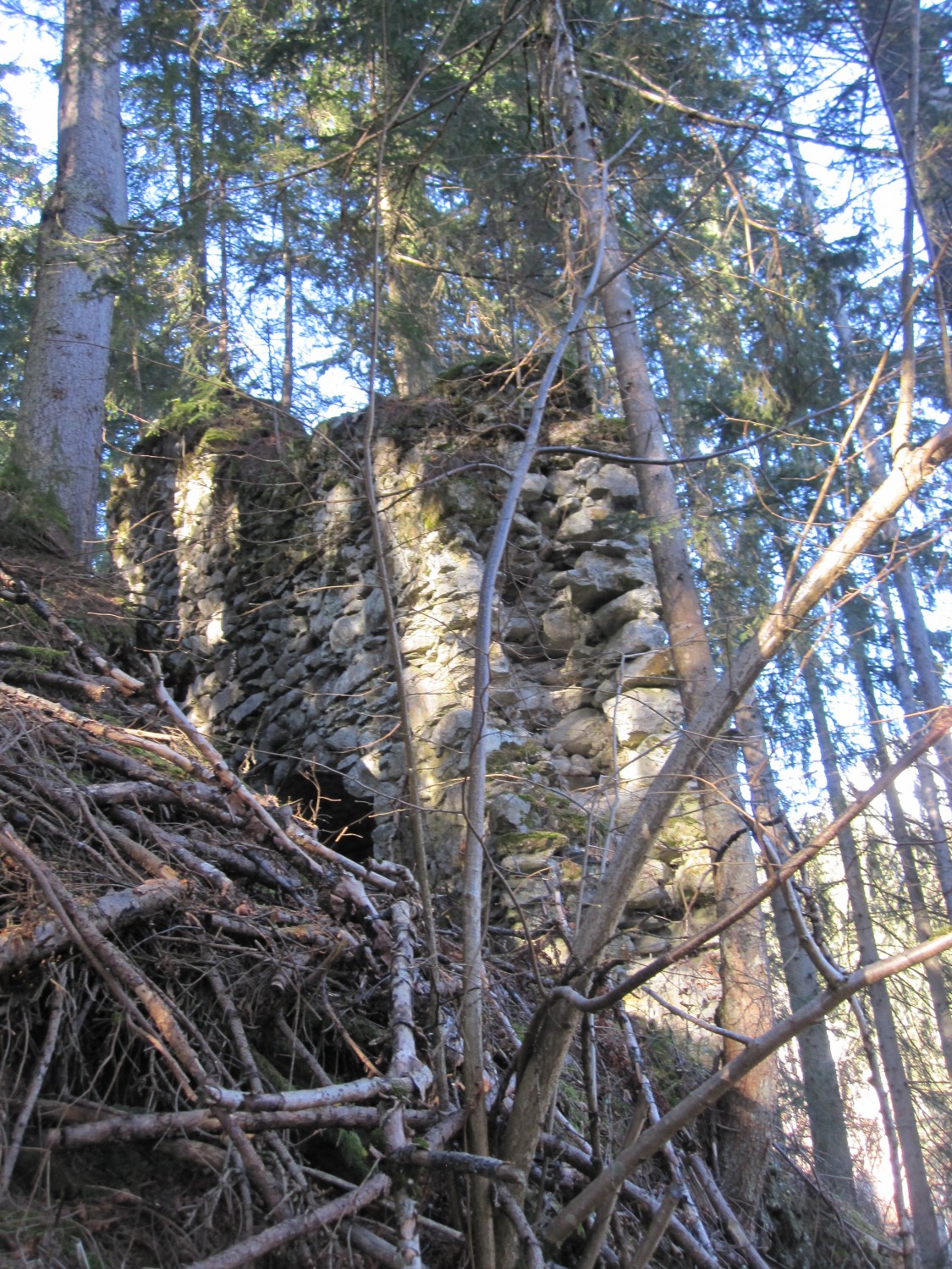 Ruine Burg Katzenstein