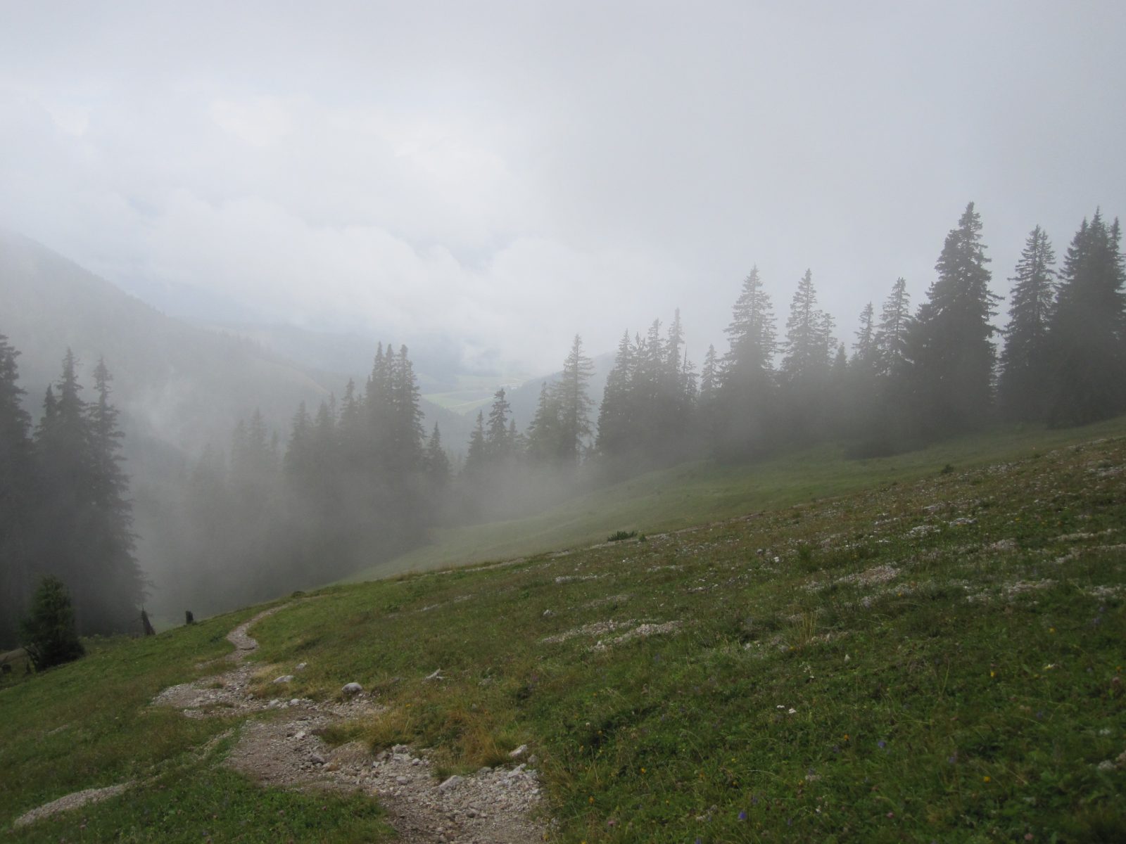 Beim Kaiblinggatterl