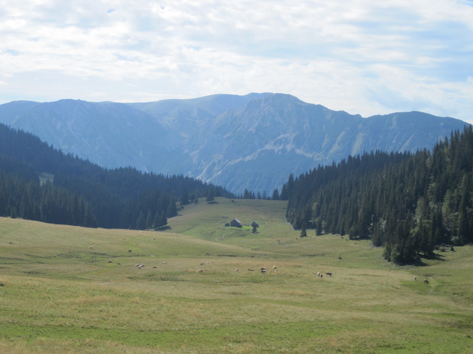 Herrenboden Alm