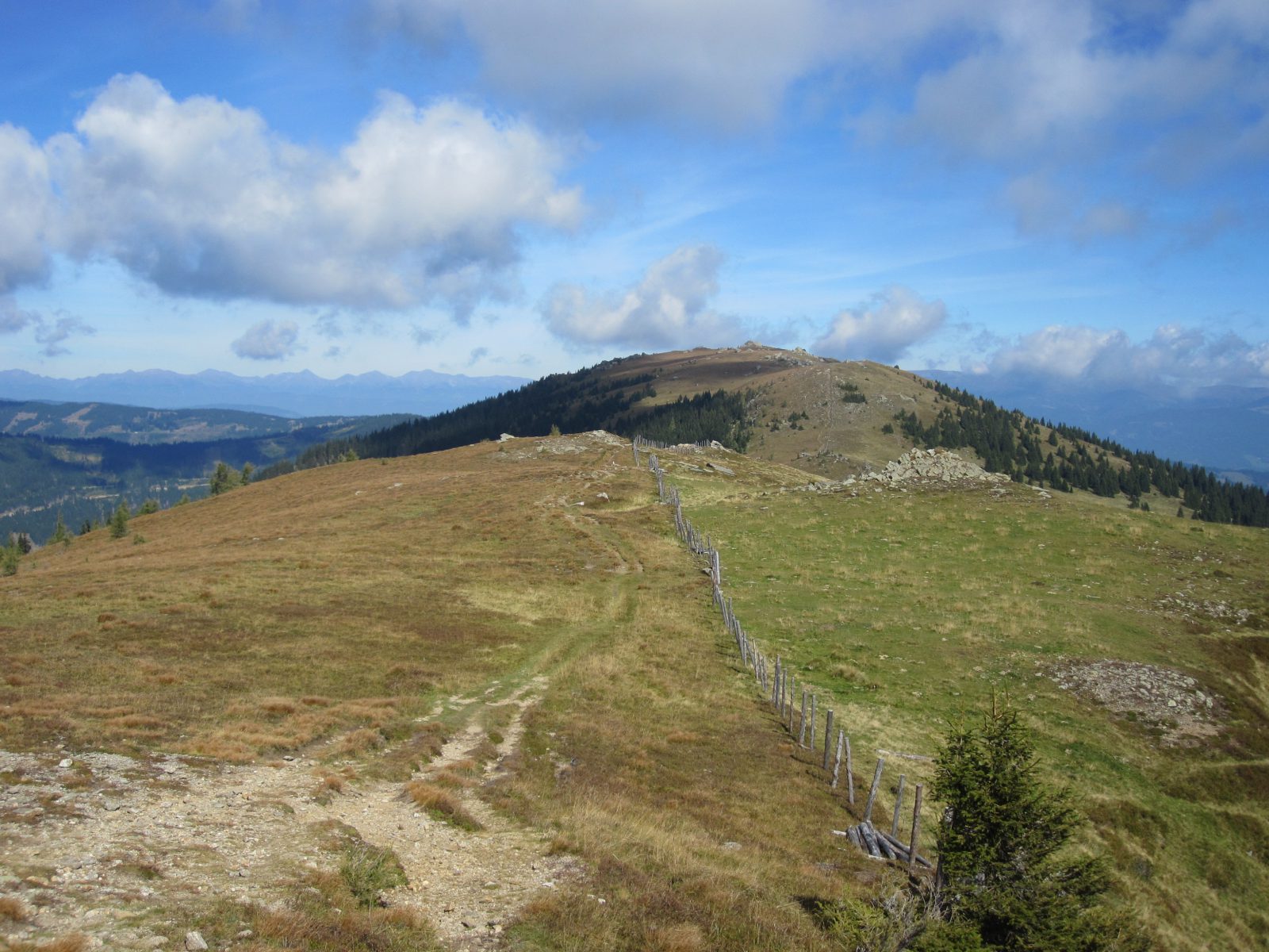 Blick zurück zum Geierkogel