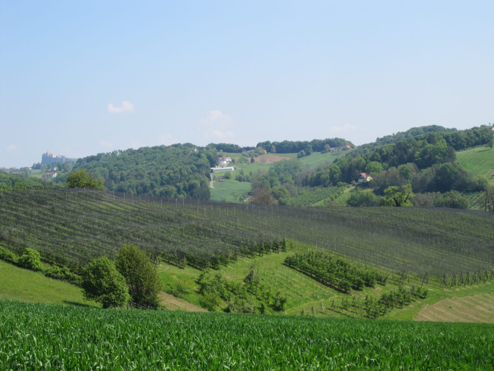 Hügelland Oststeiermark