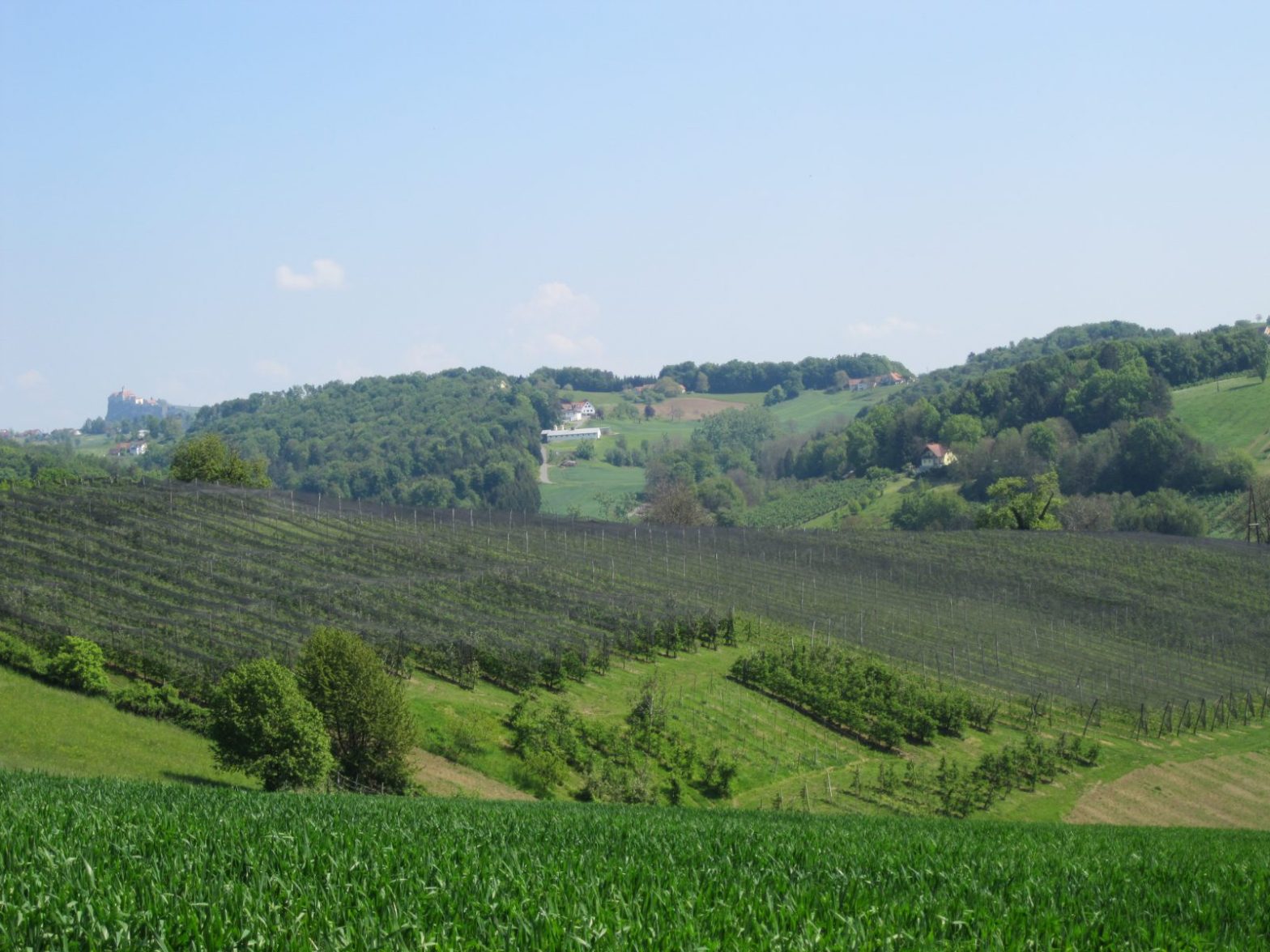 Hügelland Oststeiermark