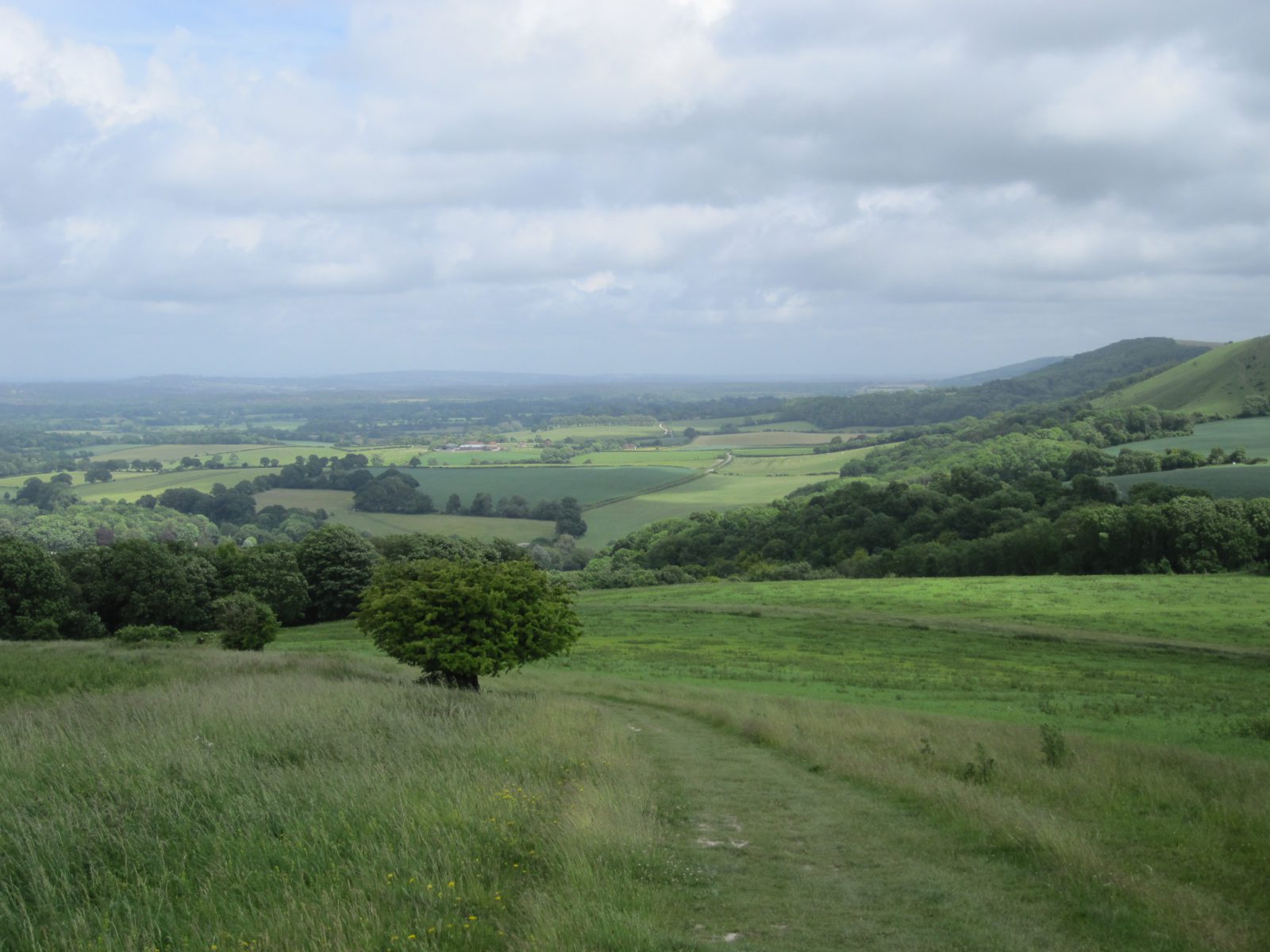 South Downs Way