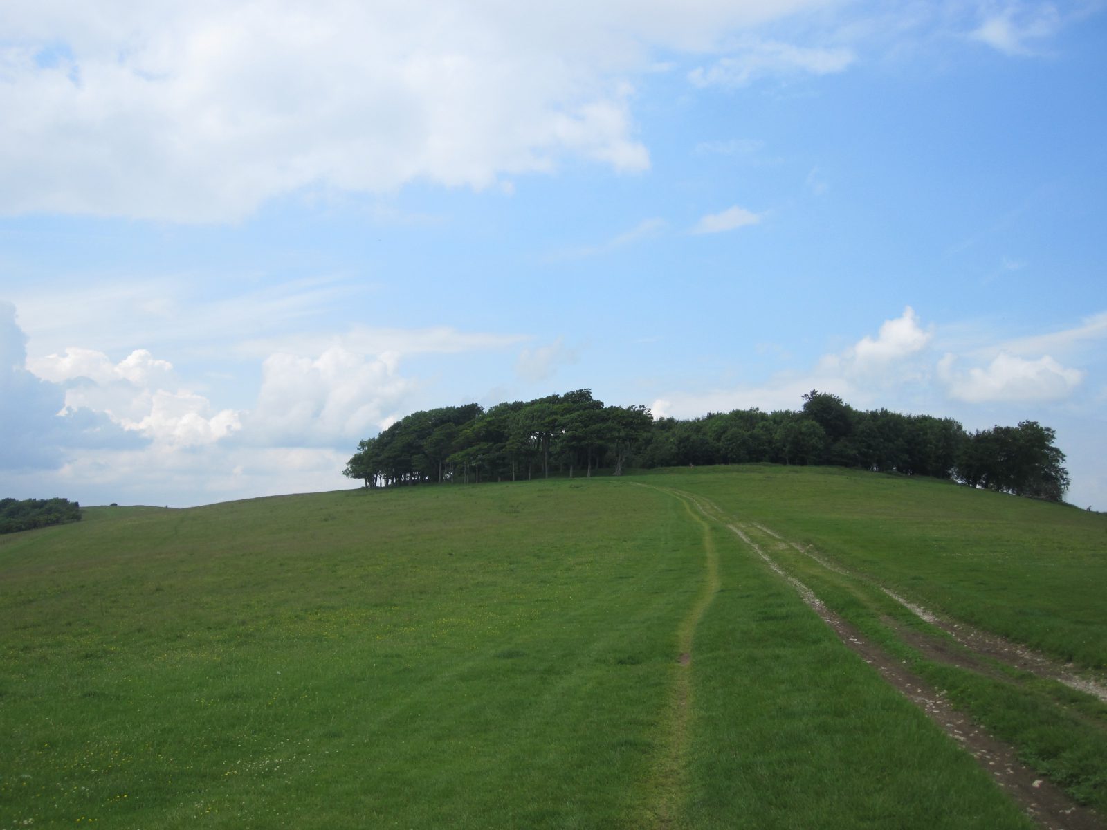 Chanctonbury Ring