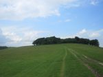 Chanctonbury Ring