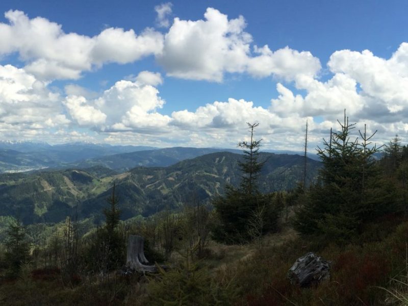 Rennfeld von Frauenberg