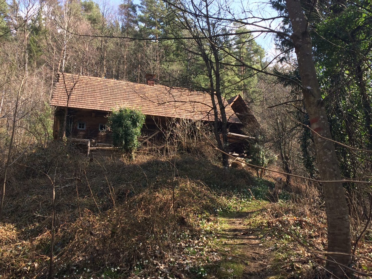 altes Gehöft @Mausegger Graben