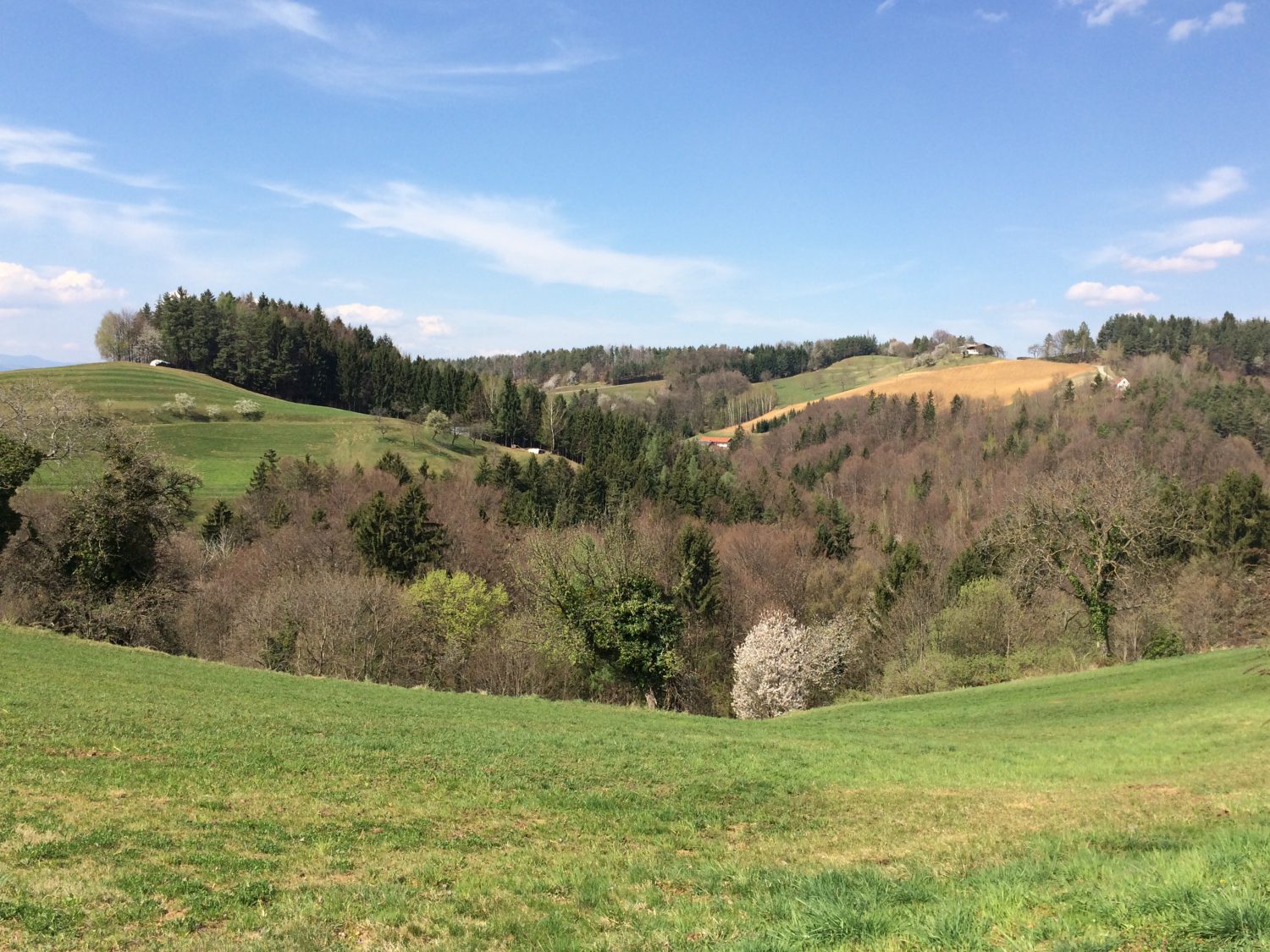 Noch nicht ganz Frühling