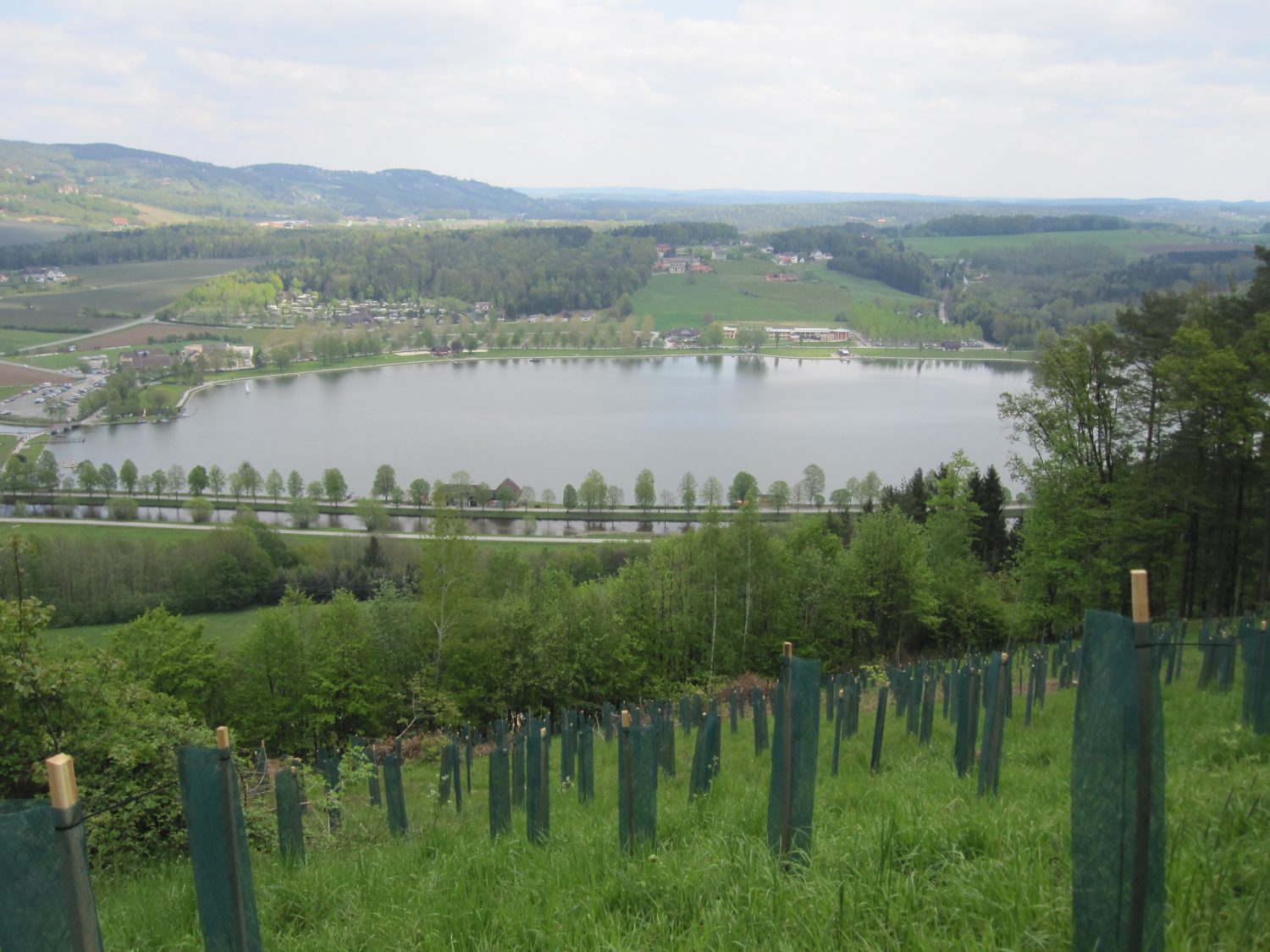 Blick auf den Stubenbergsee