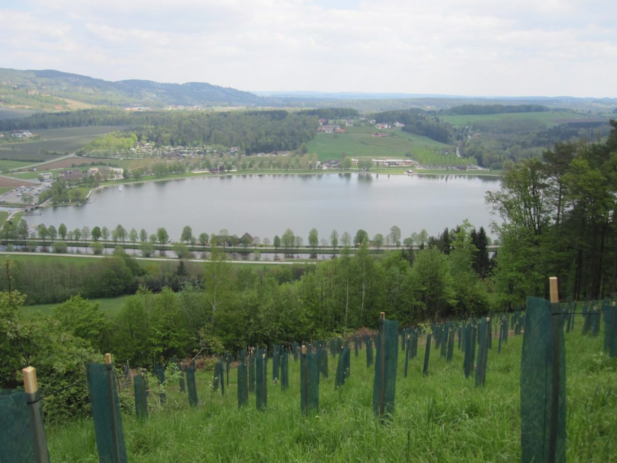 Frühling am Stubenbergsee:&nbsp;Kulmweg