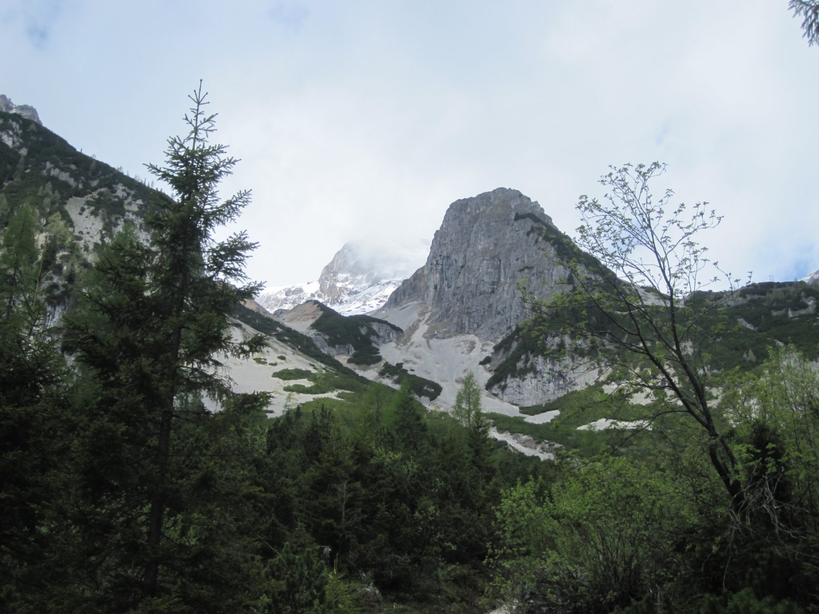 Blick in Richtung Guttenberghaus