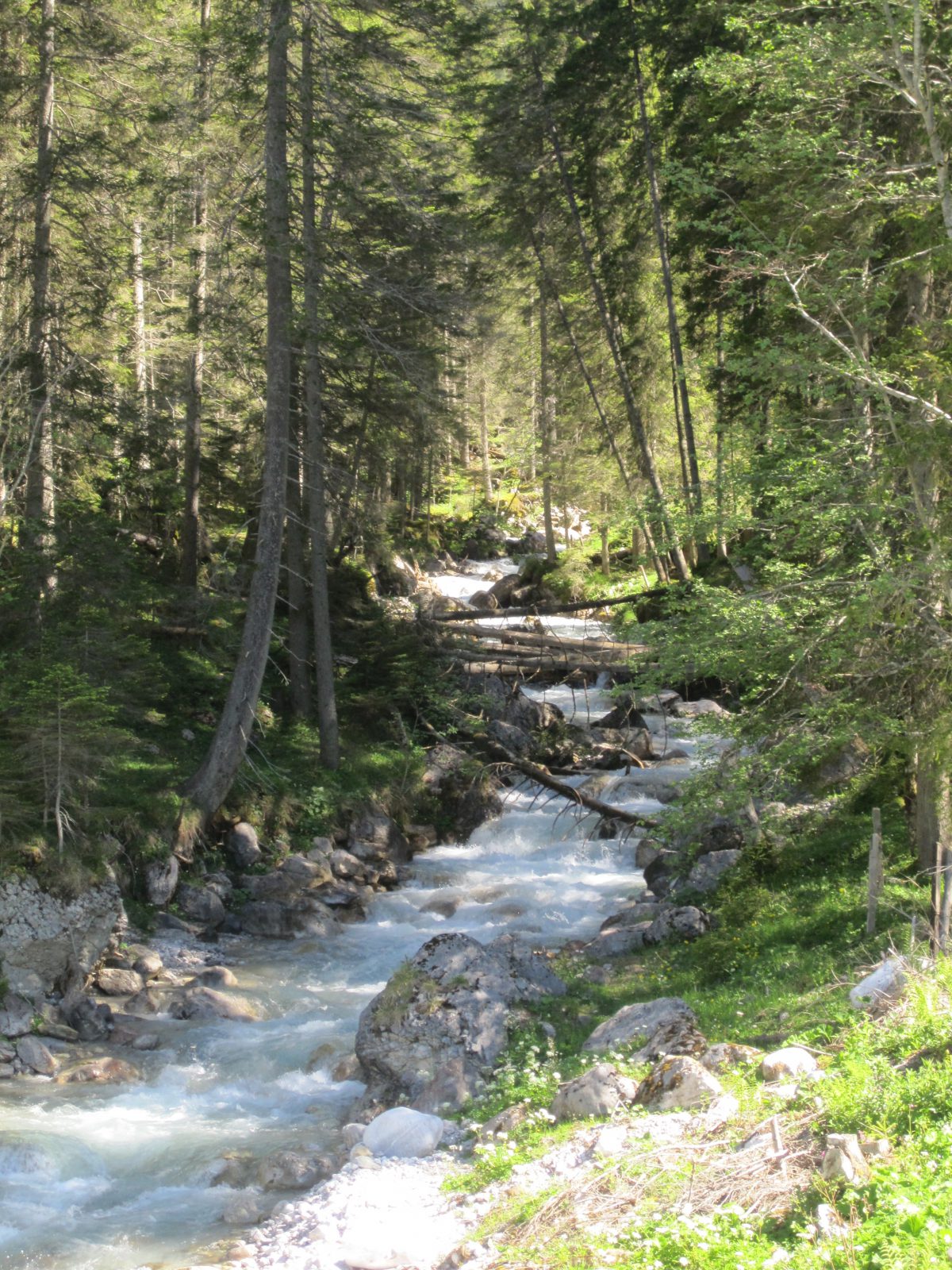 Scharfenstein Bach zur Dachsteinruhe