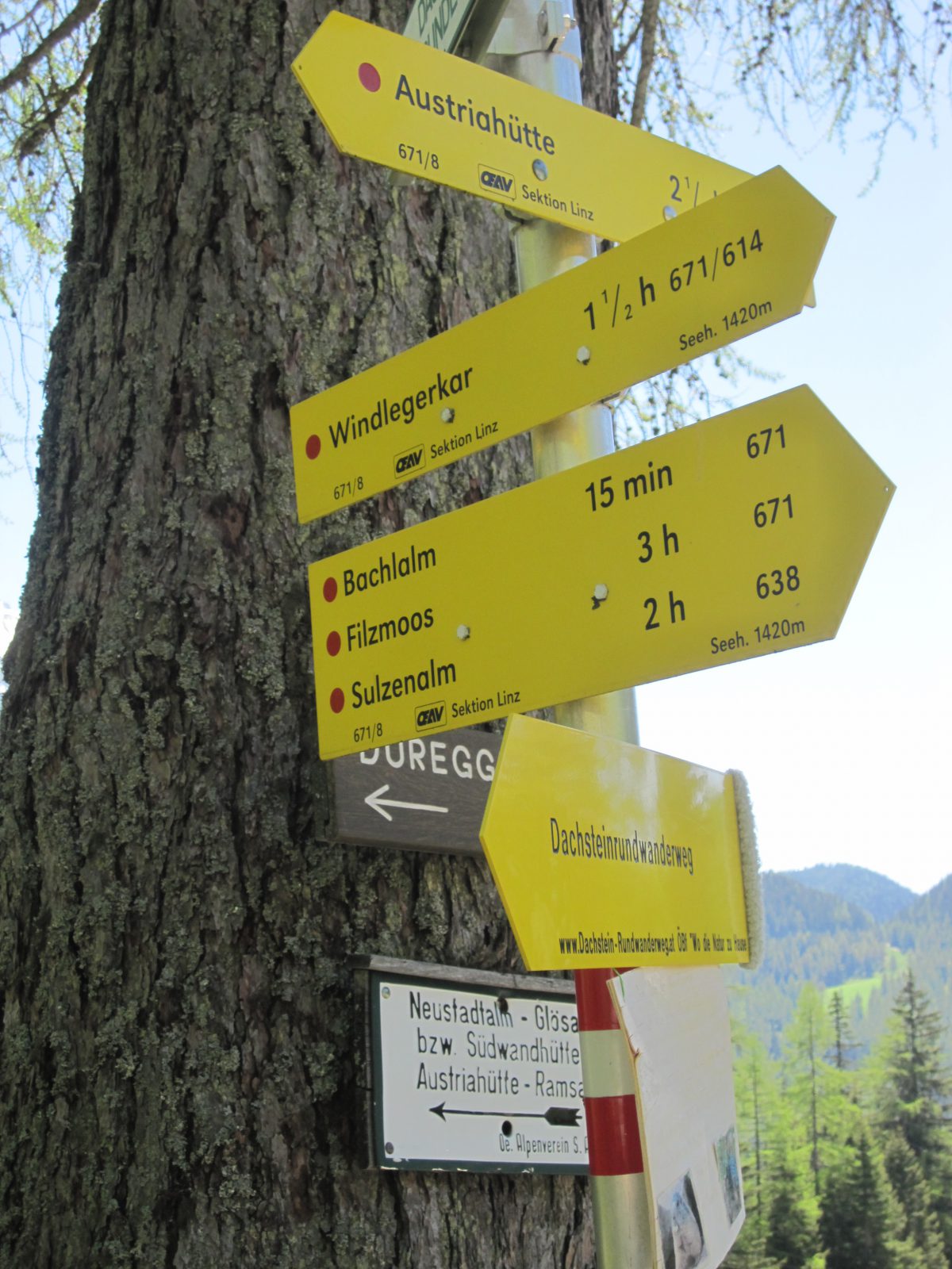 Abzweigung vor der Bachlalm