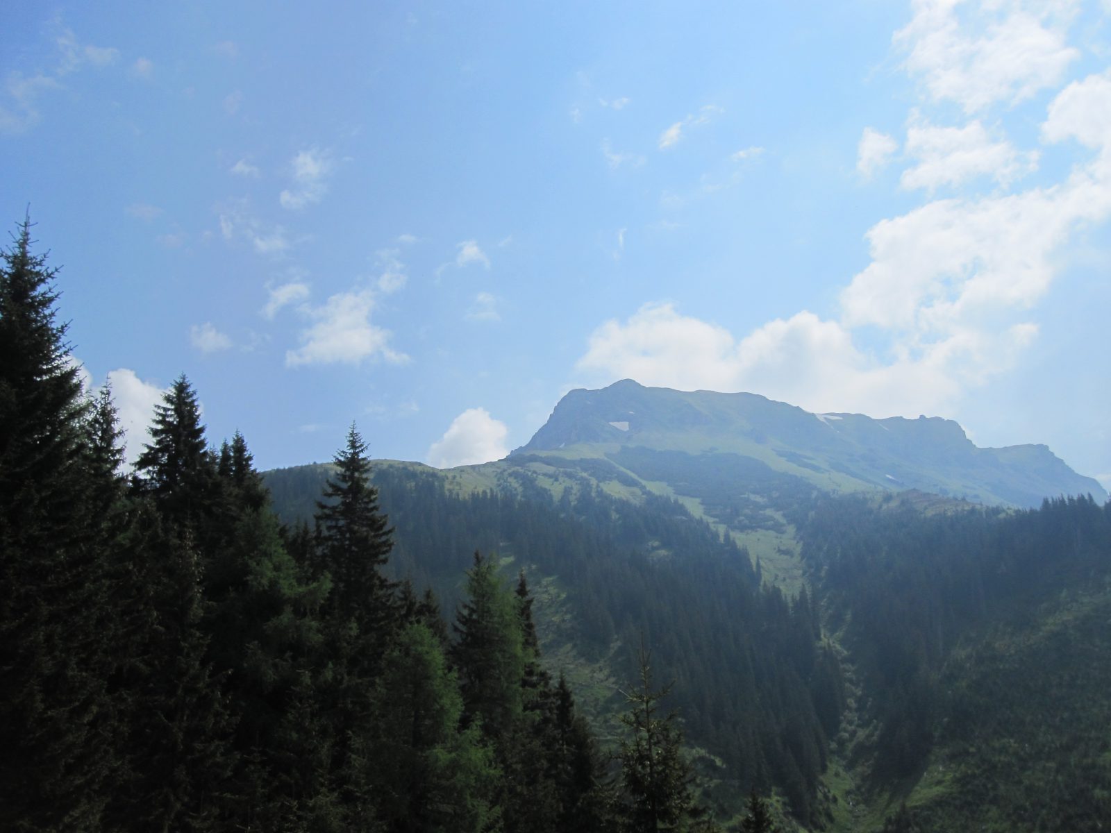 Blick zum Wildfeld