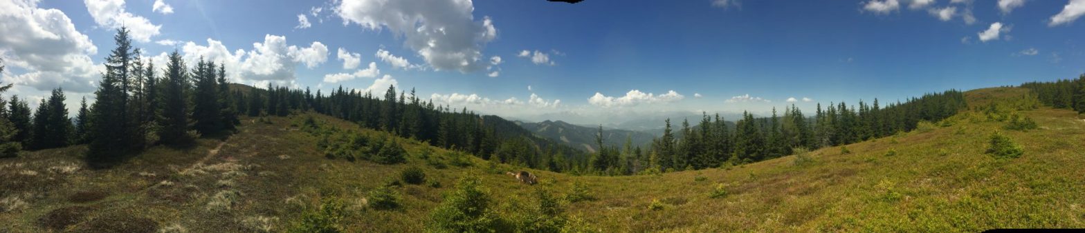 Panorama Fensteralm