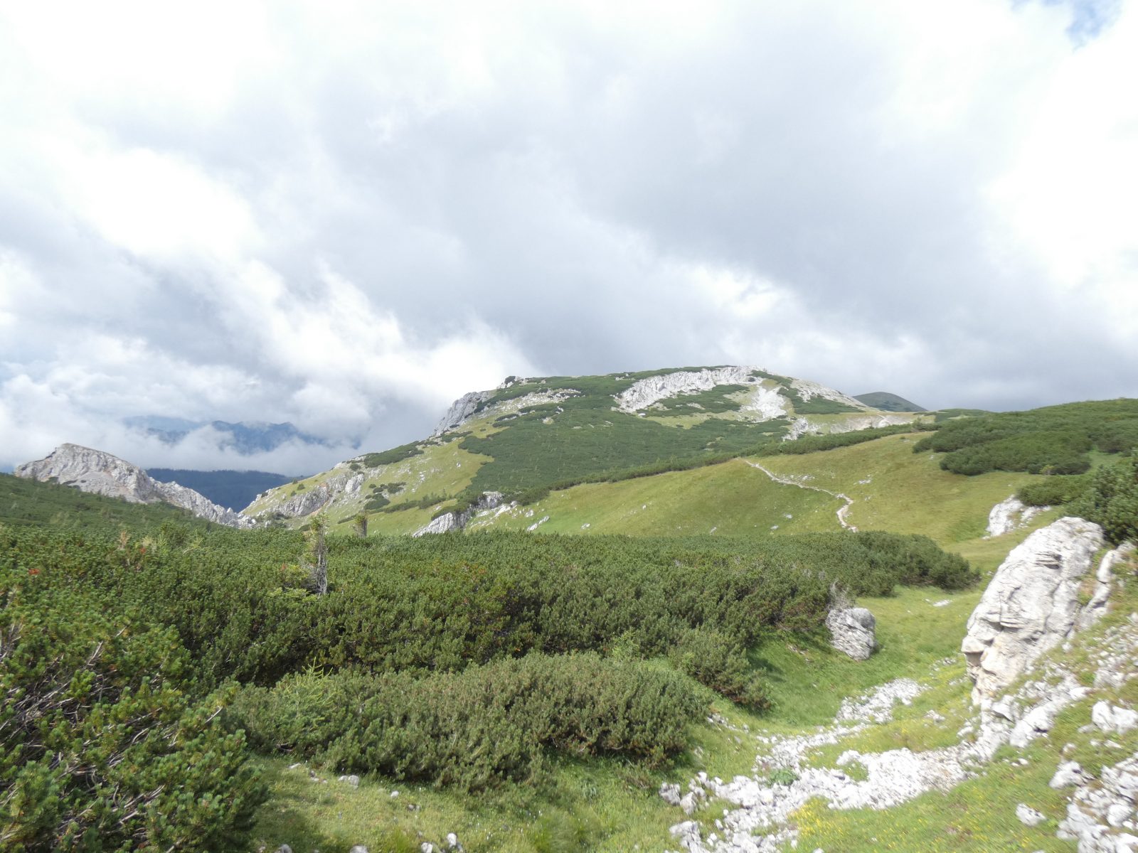 Blick Richtung Trenchtling