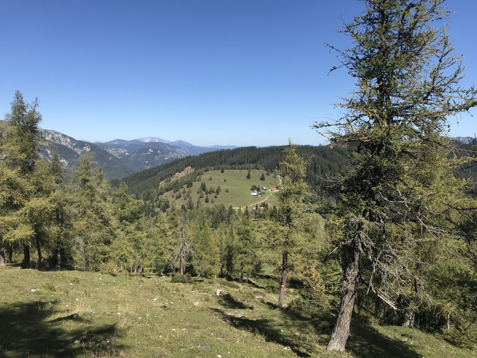 Göriacher Alm von oben