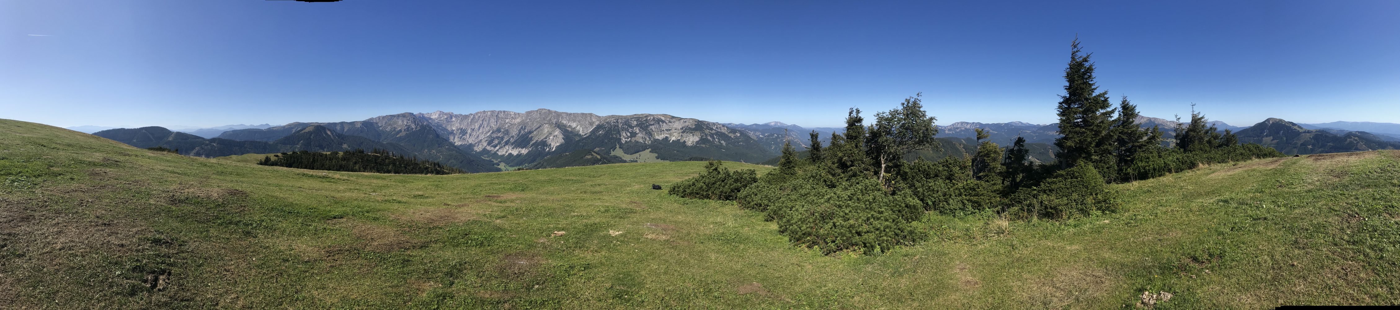 Hochanger mit Blick auf Aflenzer Staritzen