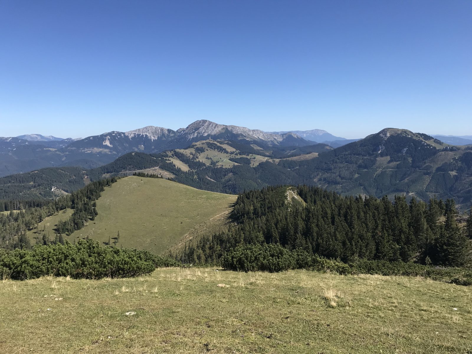 Blick auf die Veitsch