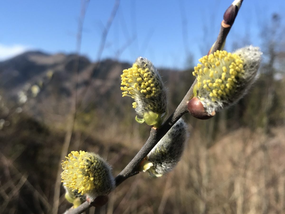 Corona-Wandern: Wanderungen rund um&nbsp;Graz