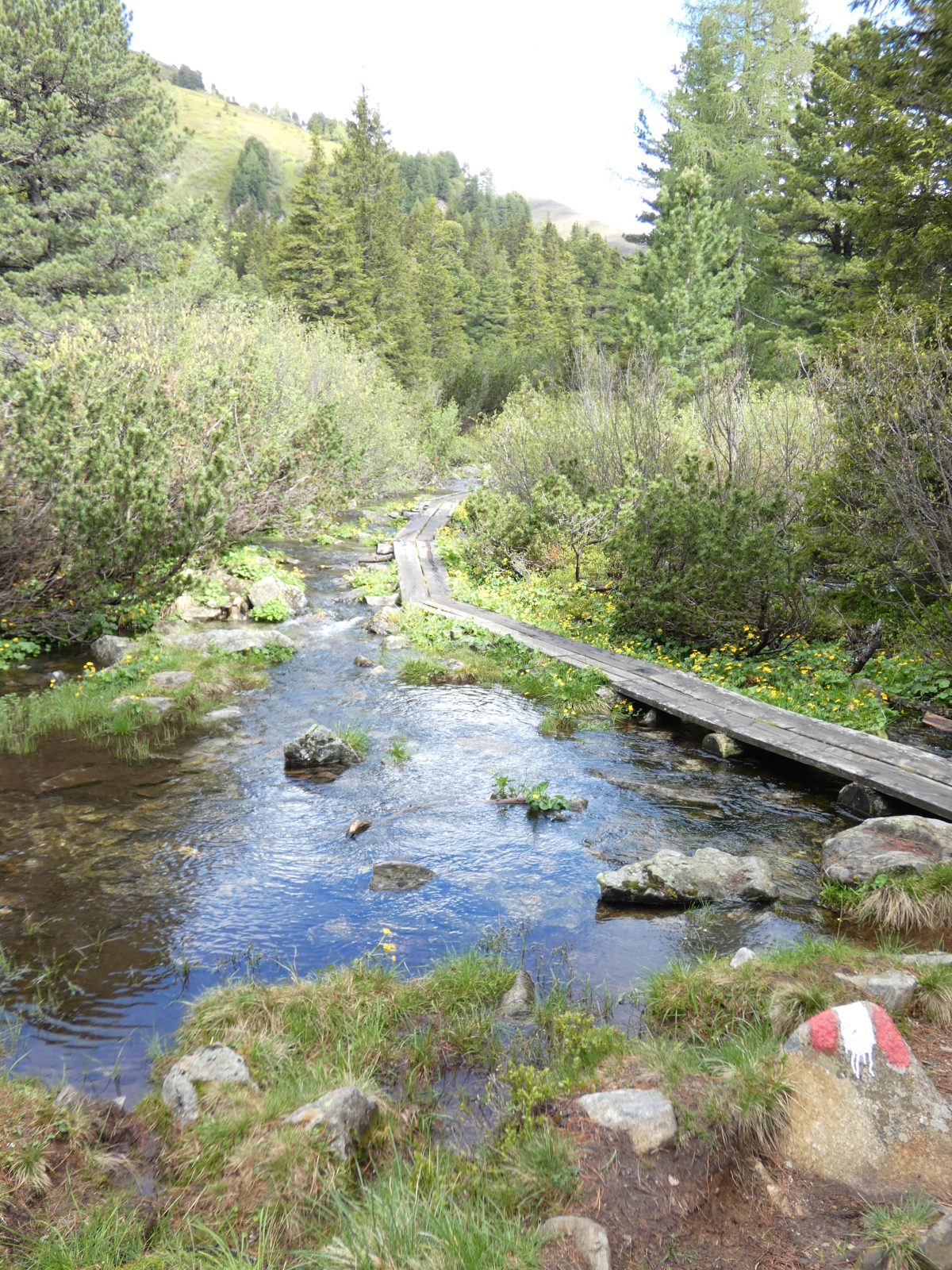 Steg über Abfluss Kleiner Scheibelsee