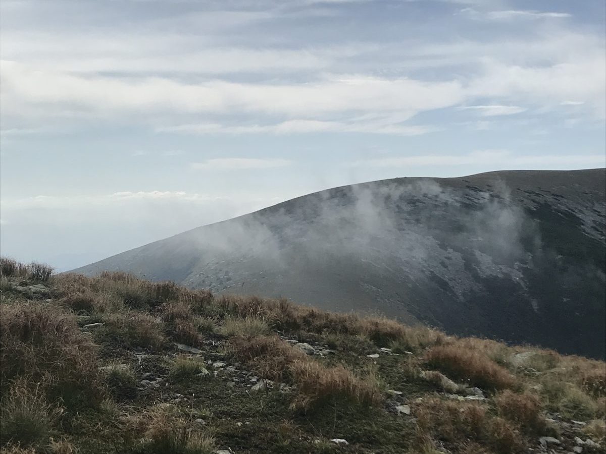 Gleinalm: Lärchkogel und&nbsp;Speikkogel