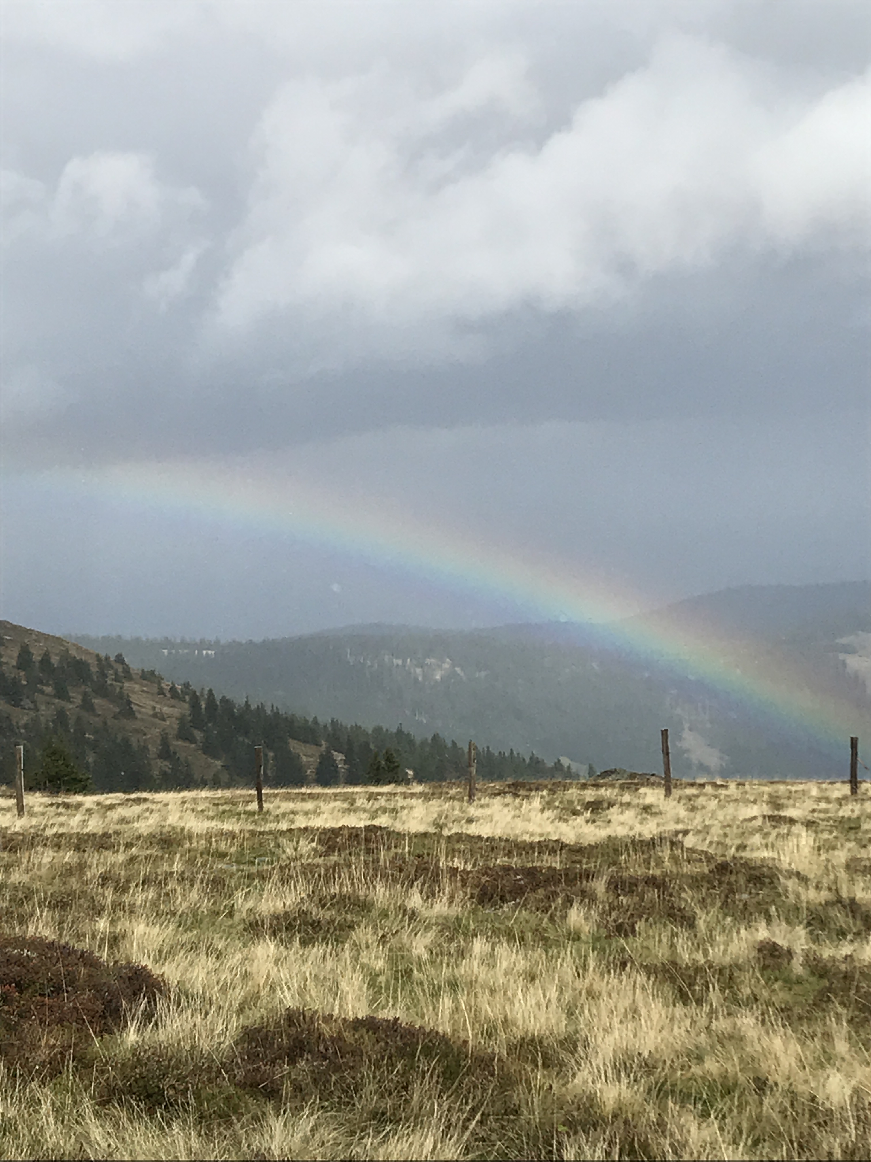 Regenbogen beim Weberkogel