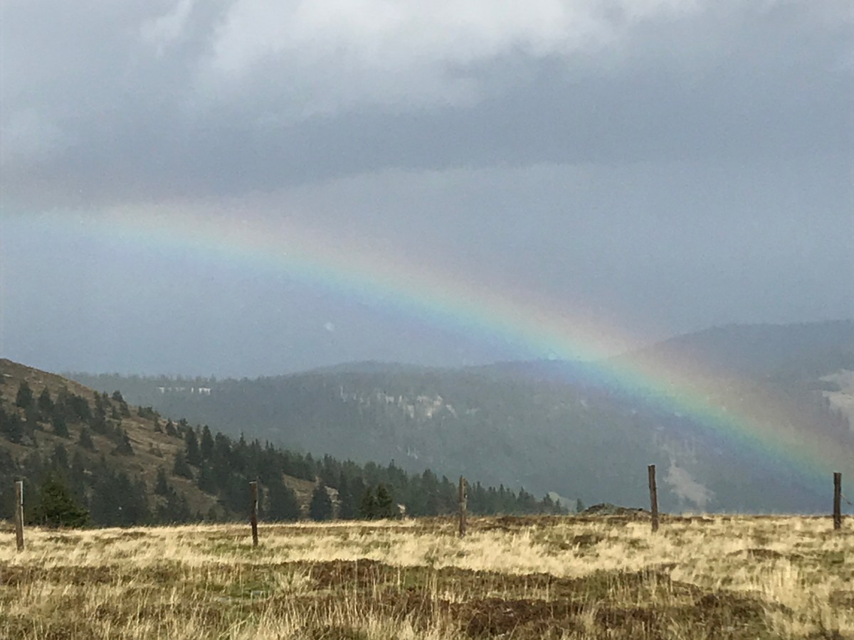 Zweimal Weinebene im&nbsp;Herbst
