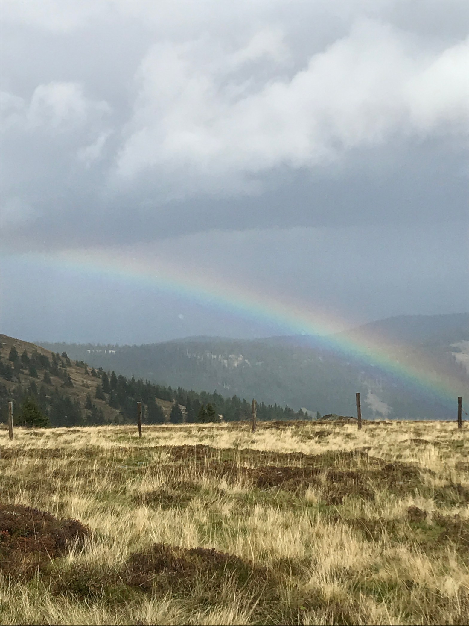 Regenbogen beim Weberkogel