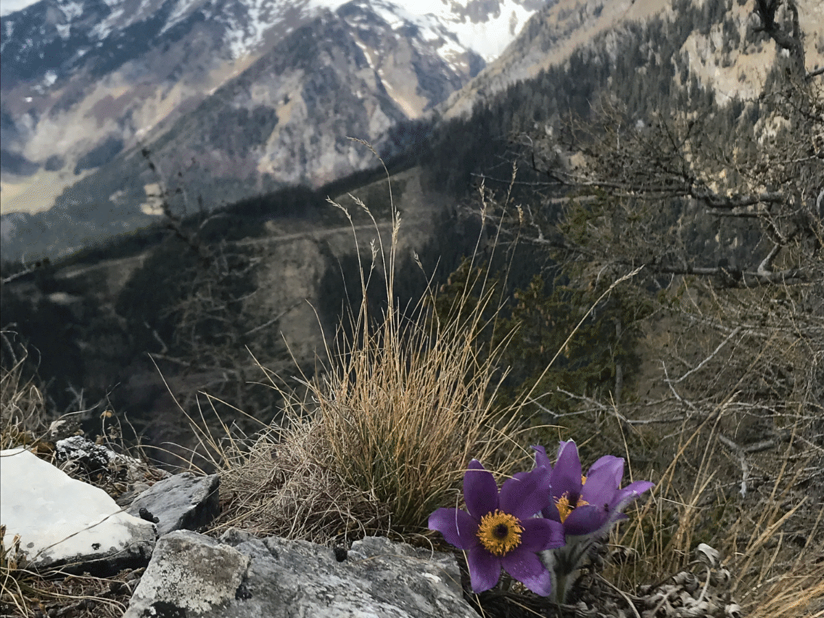 Klamm- und Herzkogel