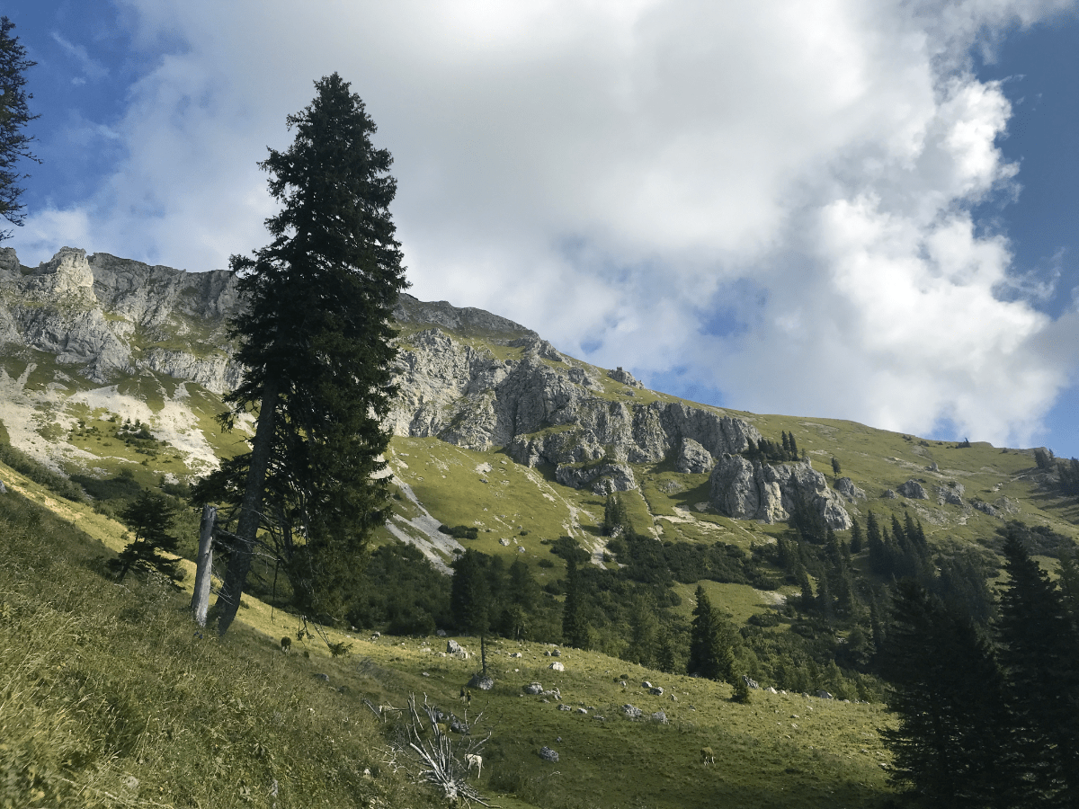 Hohe Veitsch – von Ziegen und&nbsp;Teufeln